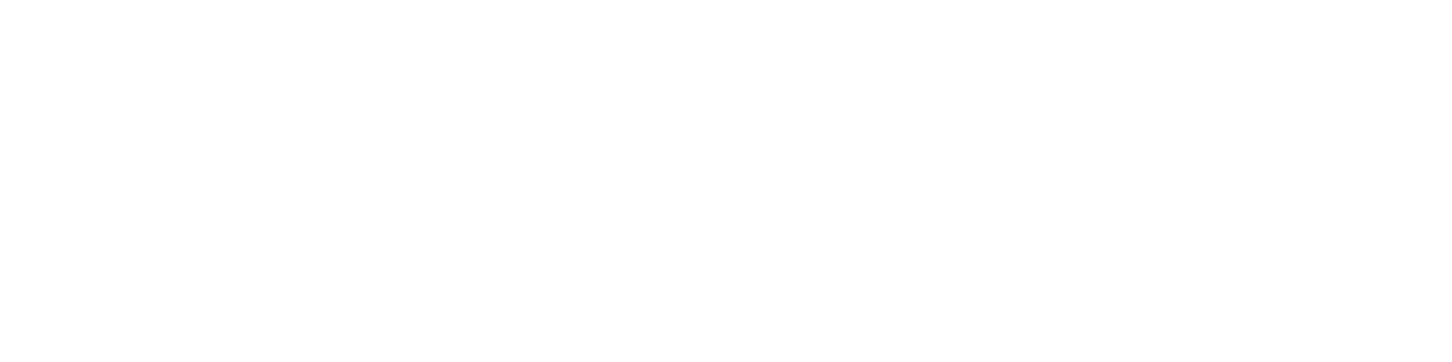 Hollyland Logo