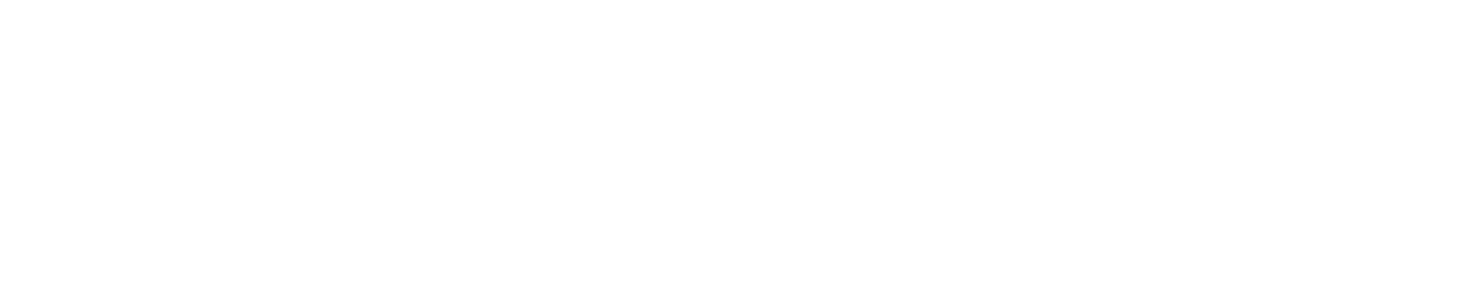 Hollyland Logo